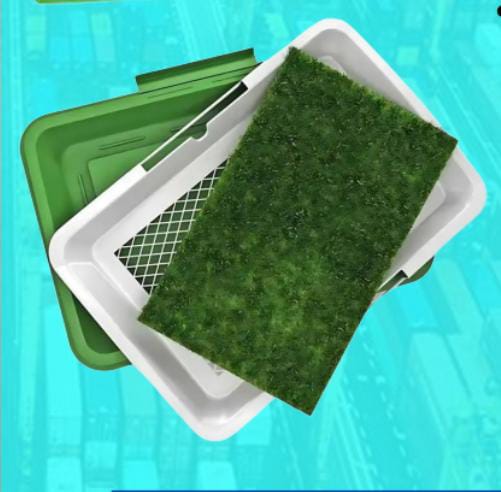 BAÑO ECOLOGICO PARA MASCOTAS